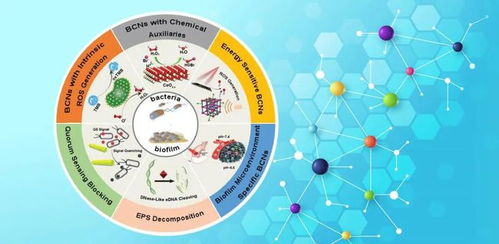 生物催化纳米抗菌材料的结构设计与应用 四川大学程冲研究员课题组《Adv. Mater.》研究进展